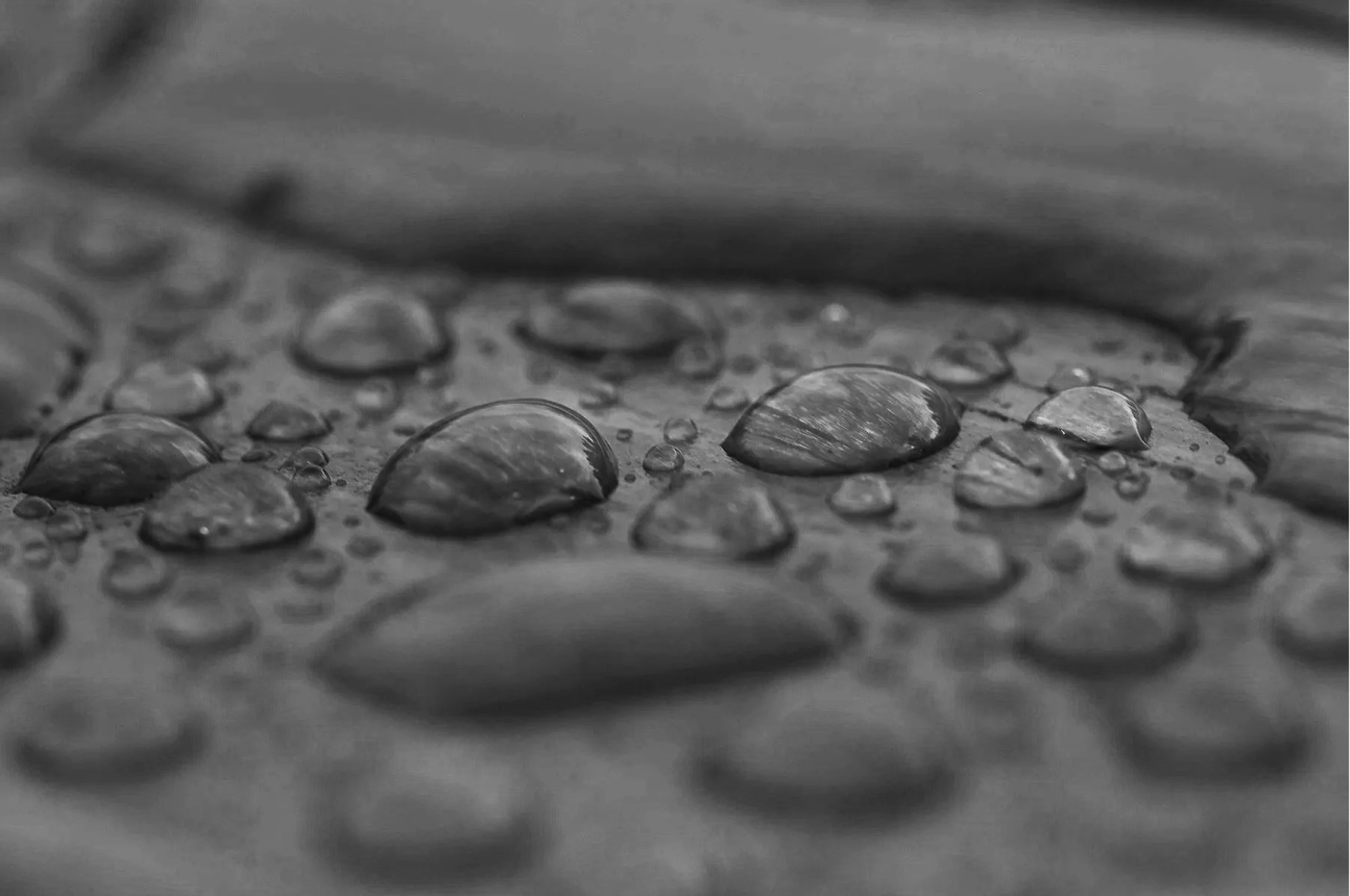 Water droplets on wood